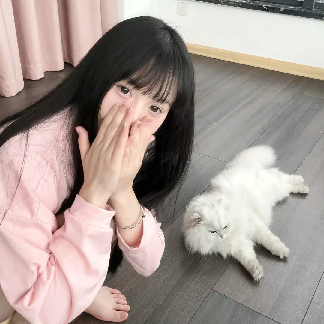 彩凤春情 在线观看